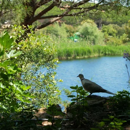 Camping Porto Sosalinos Campsite *