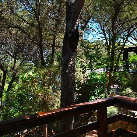 Porto Sosalinos キャンプ場 カーラ・リベロット